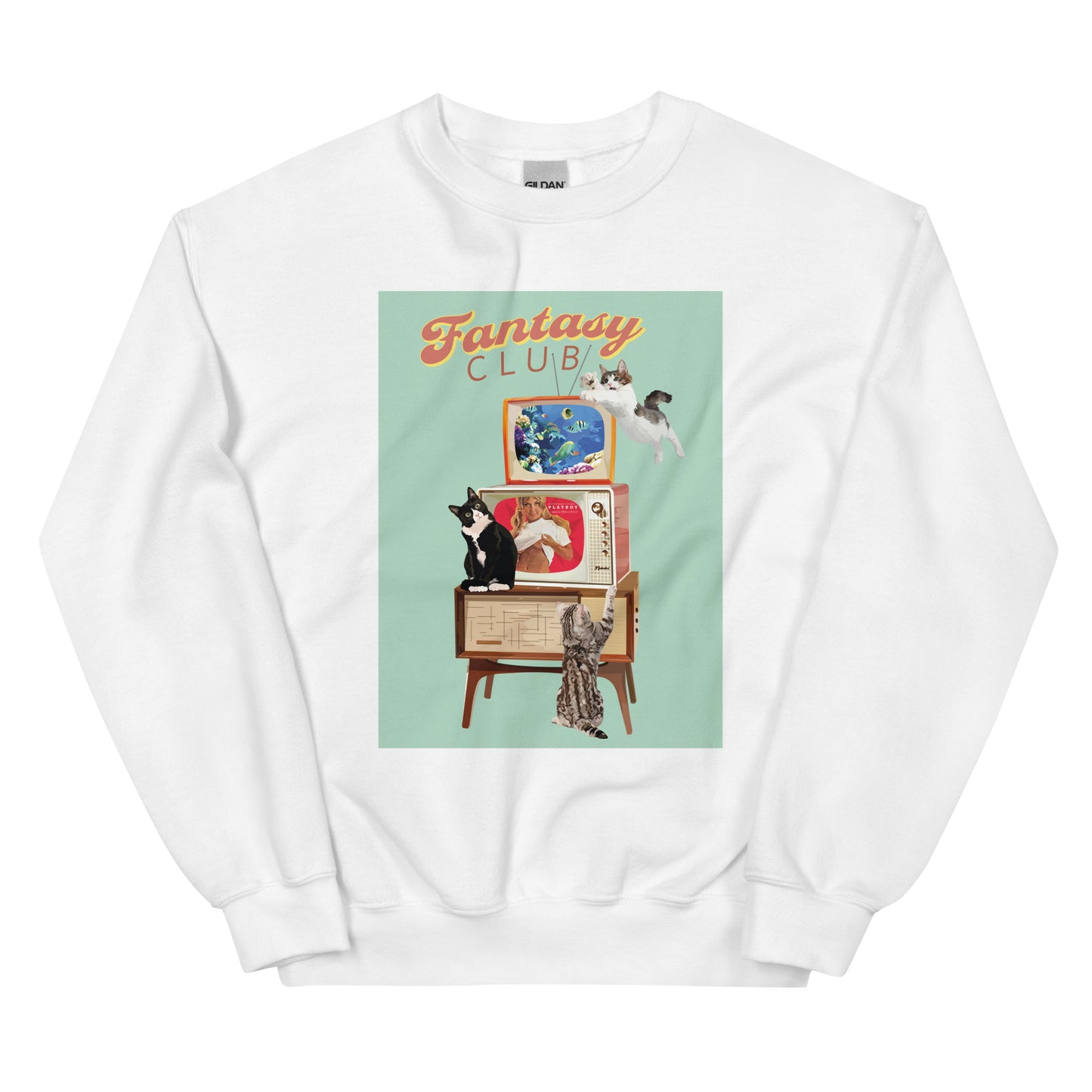 FANTASY CLUB - Sweatshirt